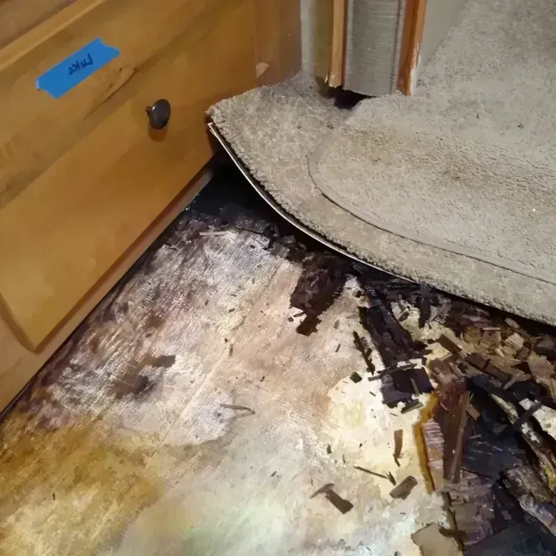 Wood Floor Water Damage in Mount Arlington, NJ